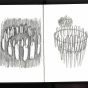 sketches